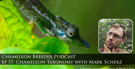 Mark Scherz chameleon episode