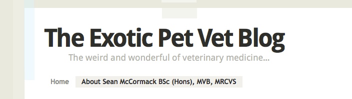 exotic pet vet blog