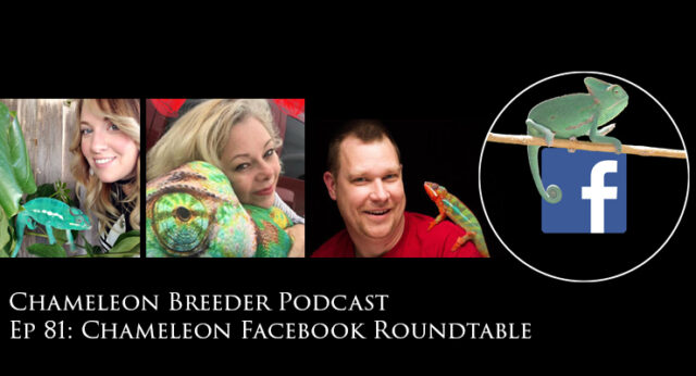 Chameleon Facebook Roundtable Discussion