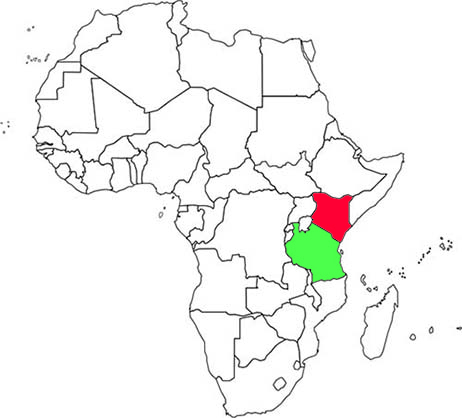 Jacksons Chameleons are from Kenya and Tanzania