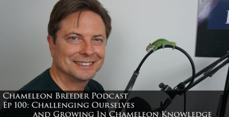 Bill Strand Chameleon Breeder Podcast