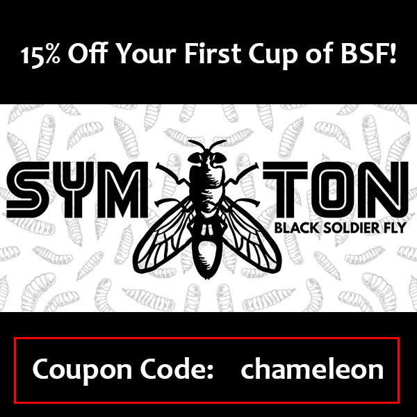 Symton BSF
