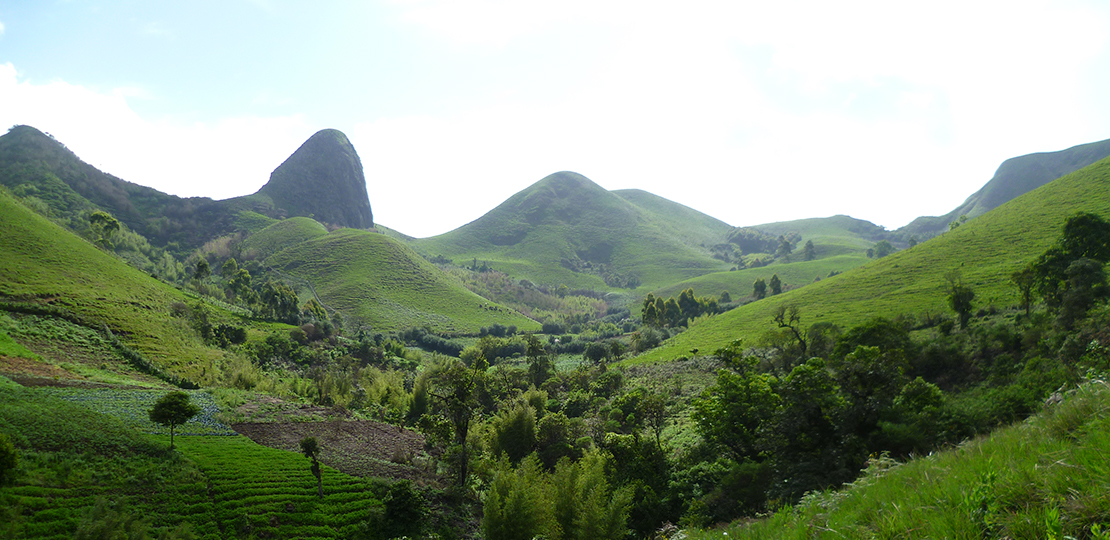 Mt. Bamboutos