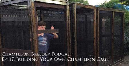 Building Your Own Chameleon Cage