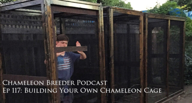 Building Your Own Chameleon Cage
