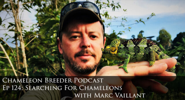 Searching For Chameleons with Marc Vaillant