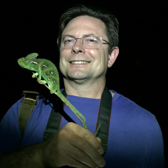 Bill and veiled chameleon in Florida
