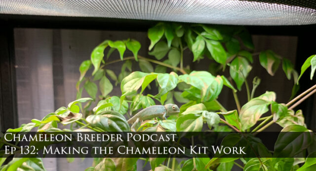 making the chameleon kit to work