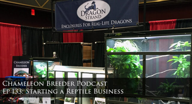 Starting a Reptile Business