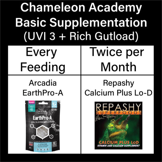 Chameleon Supplementation reference