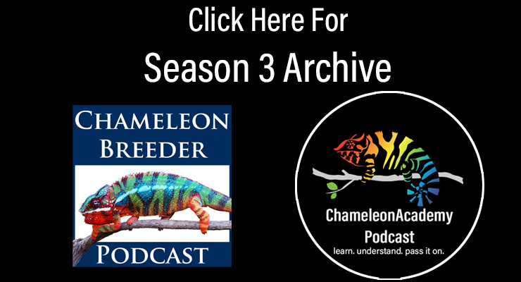 chameleon breeder podcast archive season 3