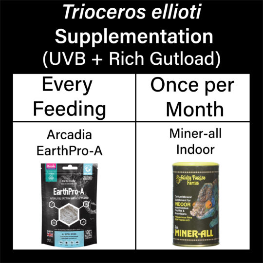 Trioceros ellioti supplementation