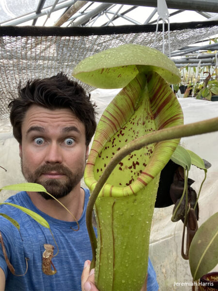 Holding a N. truncata x ephippiata 900x1200s