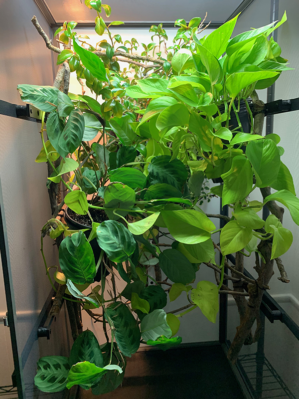 Tall Screen Cage System