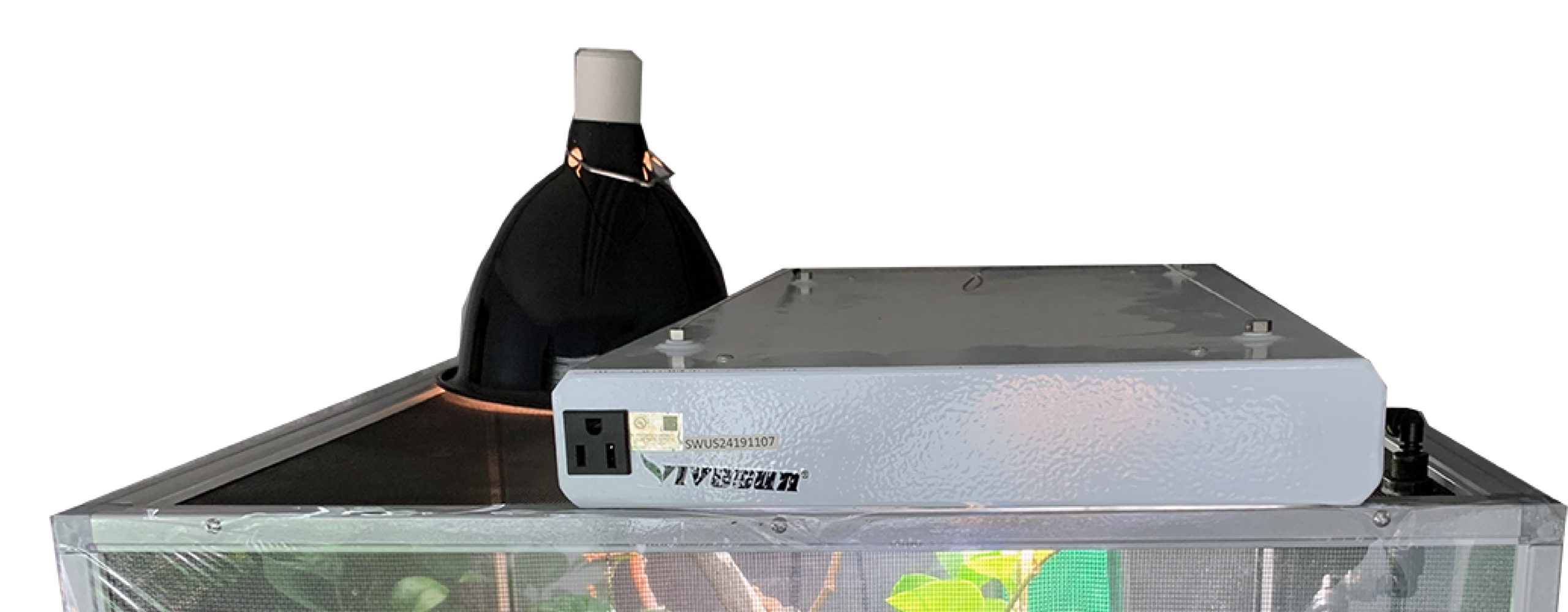 cage top placement
