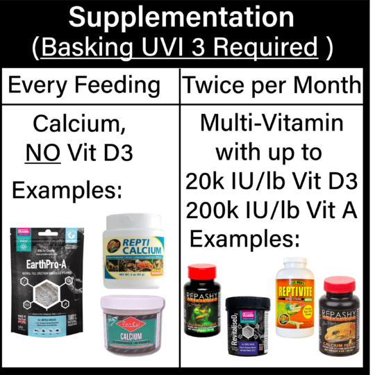 Supplementation Graphic 20-200 Standard Chameleon supplementation