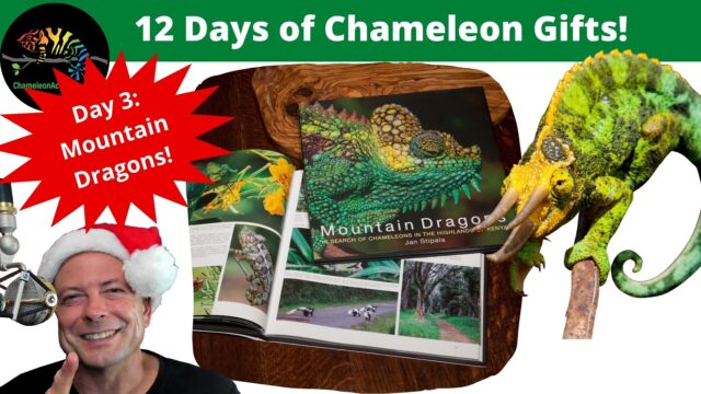 Mountain Dragons Chameleon book