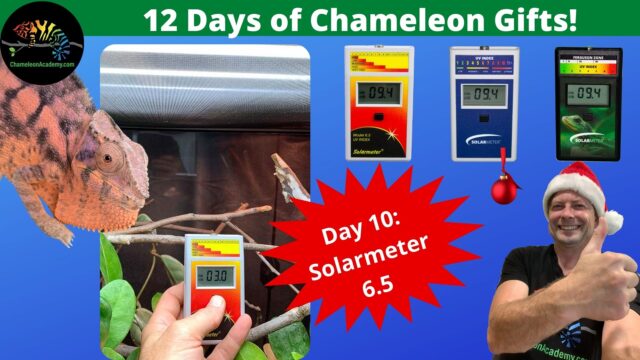Chameleon UVB meter