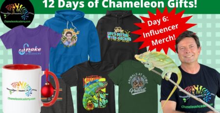 Chameleon Influencer Merchandise