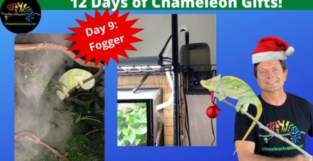 Chameleon Fogger