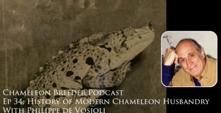 Chameleon History