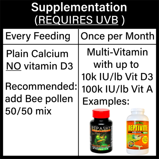 Supplementation Graphic Johnstoni