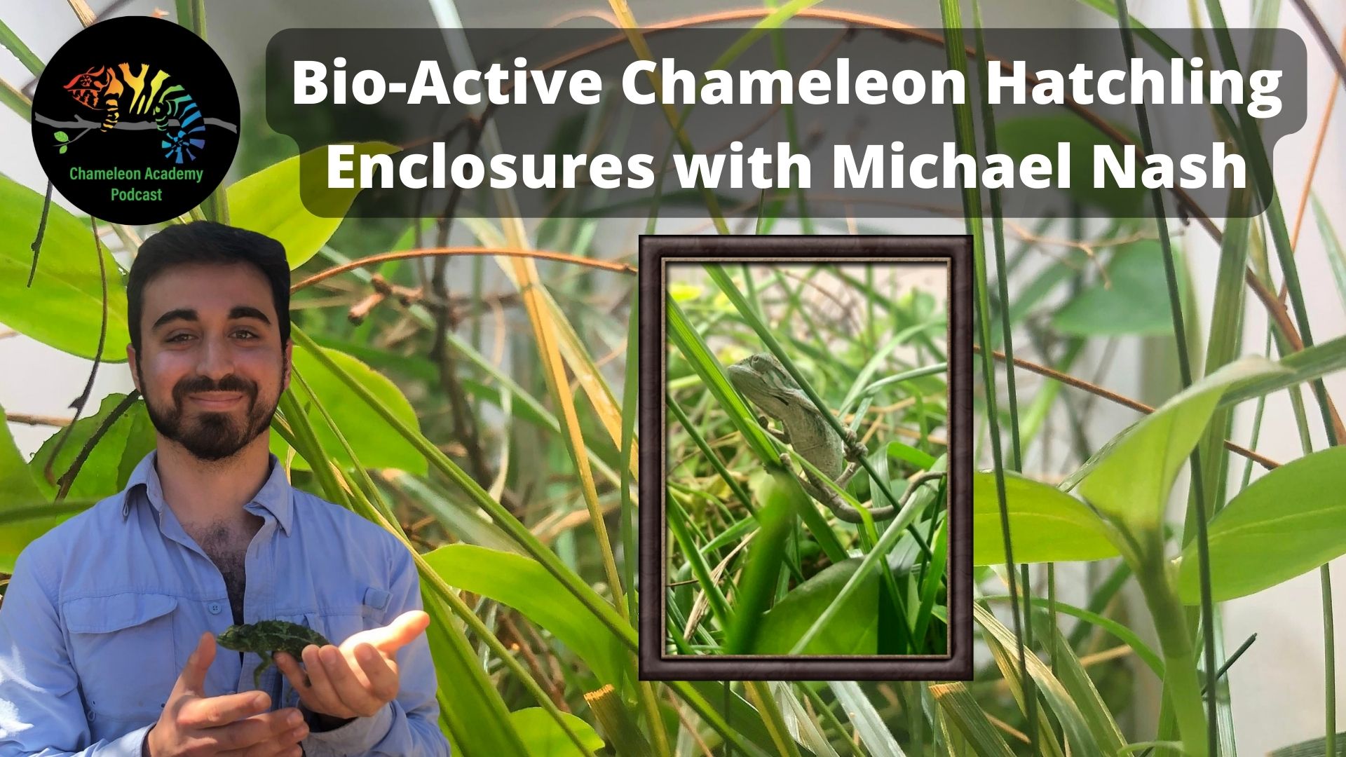 bioactive for chameleons