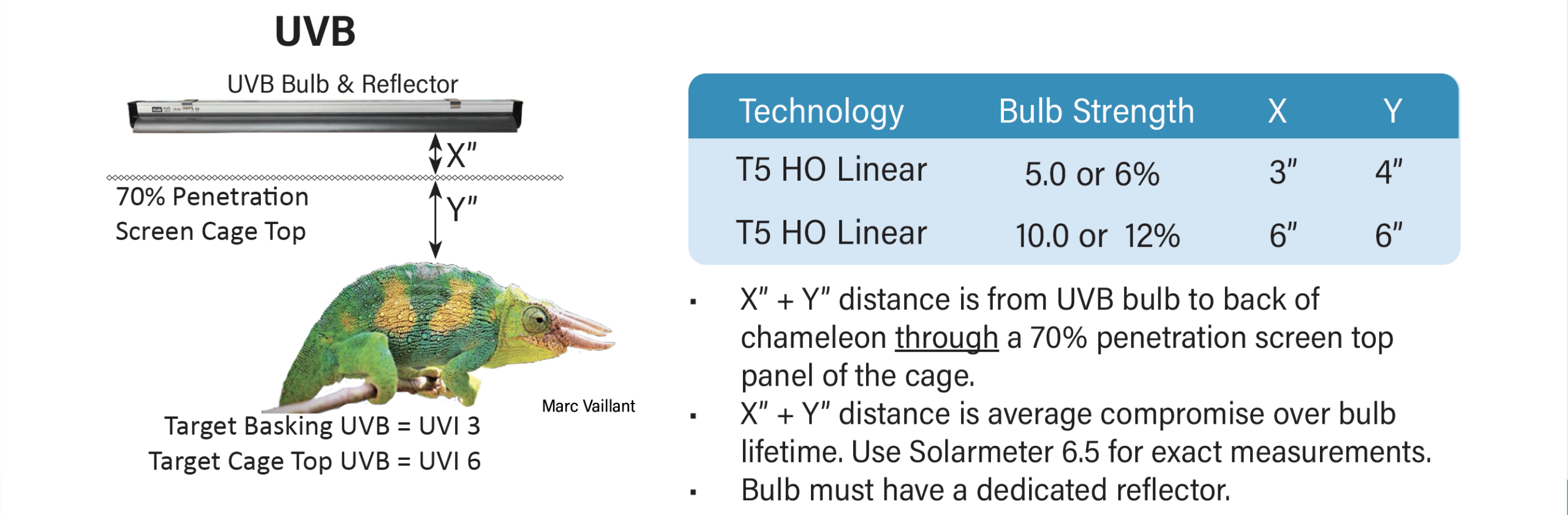 Johnstons Chameleon UVB