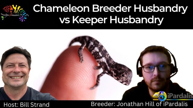 Bill Strand and Jonathan Jonathan Hill discussing Chameleon husbandry
