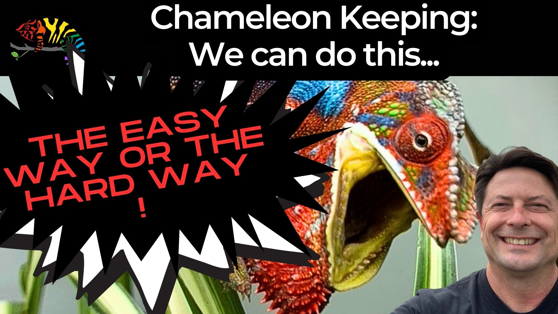 https://chameleonacademy.com/wp-content/uploads/2023/07/chameleon-keeping-easy-or-hard1920-%C3%97-1080-px-1.jpg