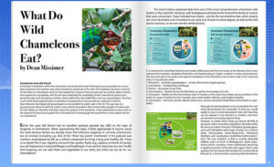 Article on chameleon natural diet