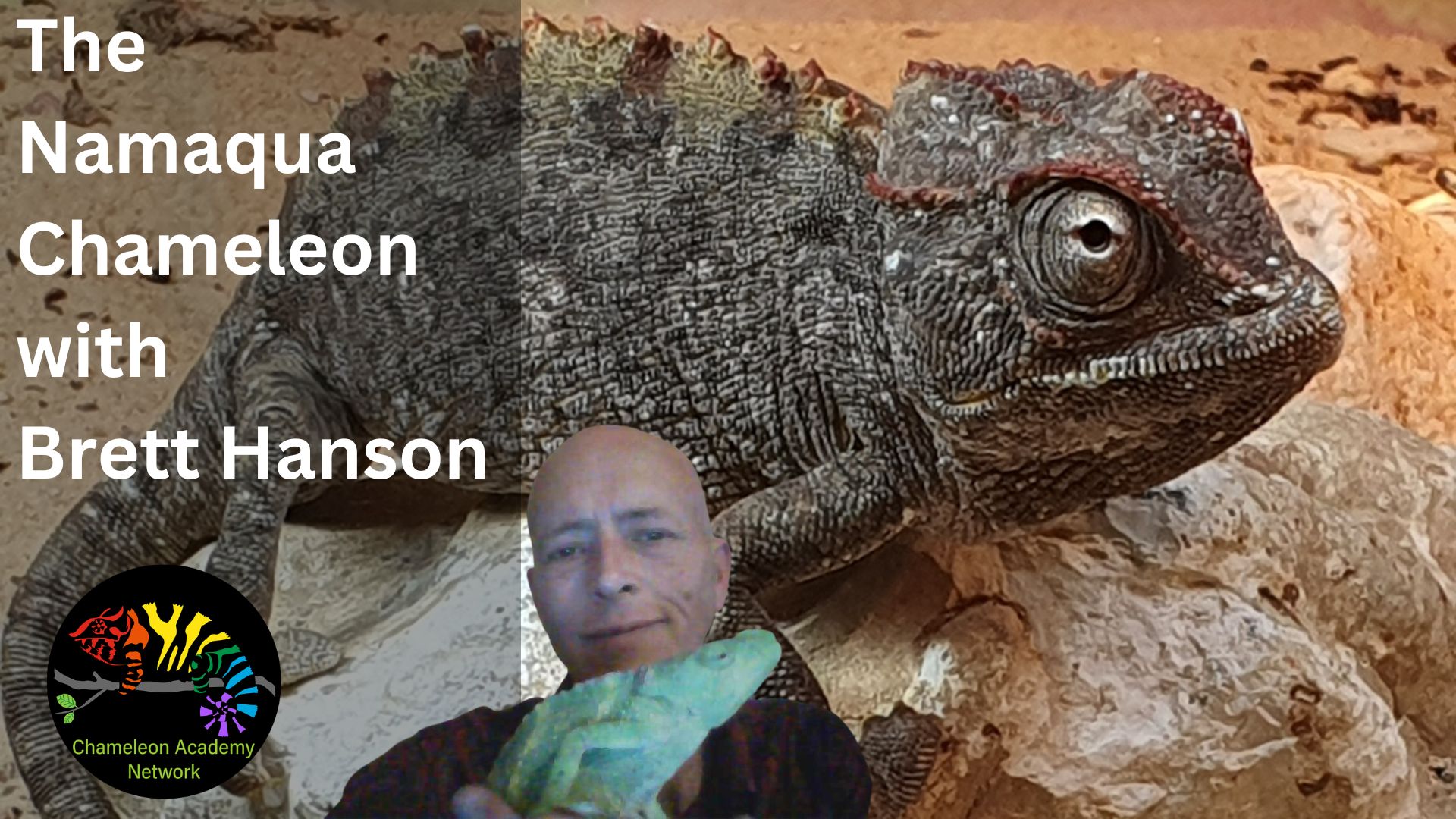Namaqua Chameleon and Brett Hanson