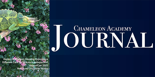 Chameleon Academy Journal banner