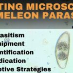 Chameleon Parasites