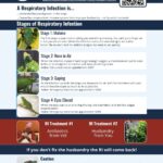 Chameleon Respiratory Infection infographic thumbnail